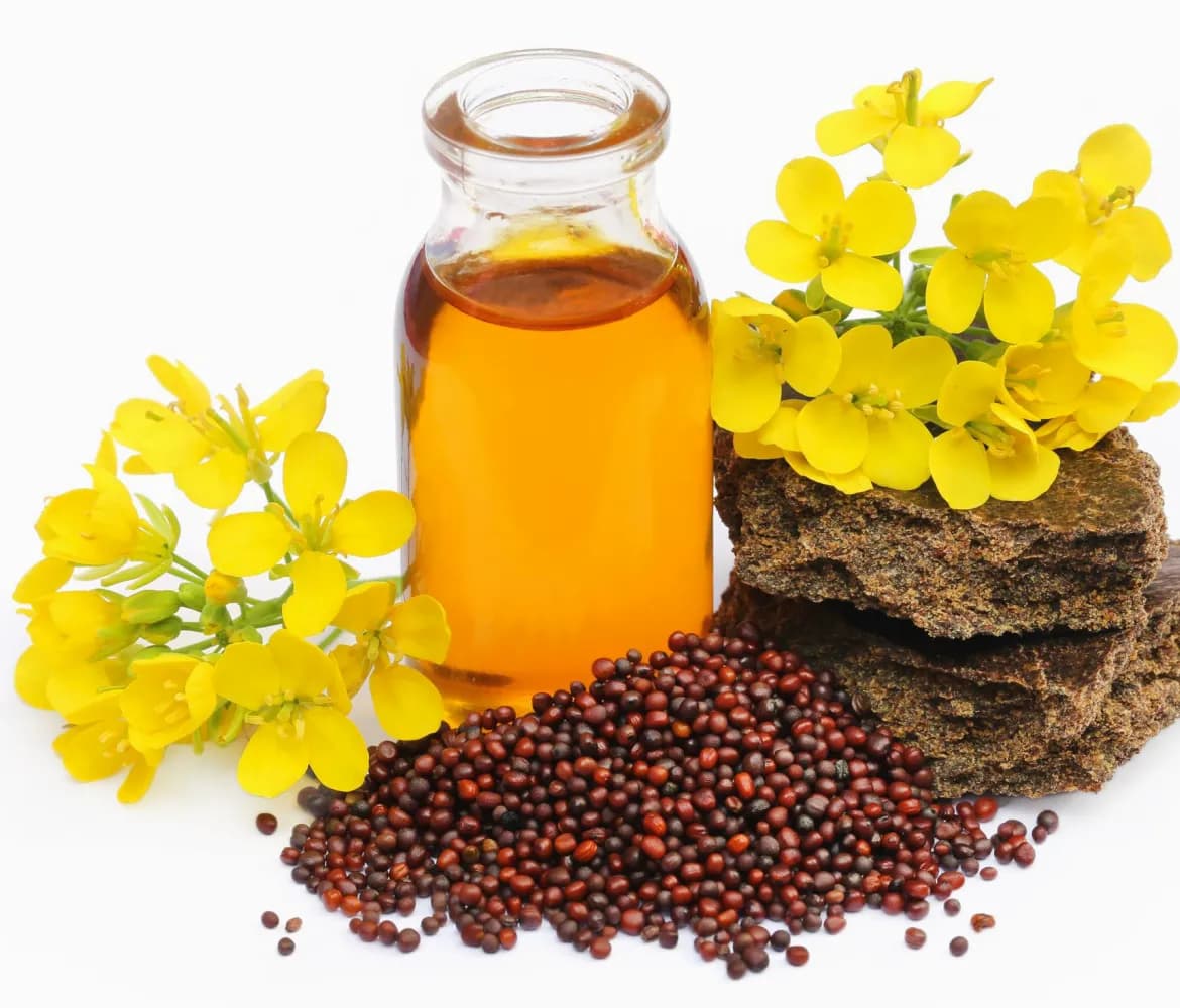 RBD Canola Oil