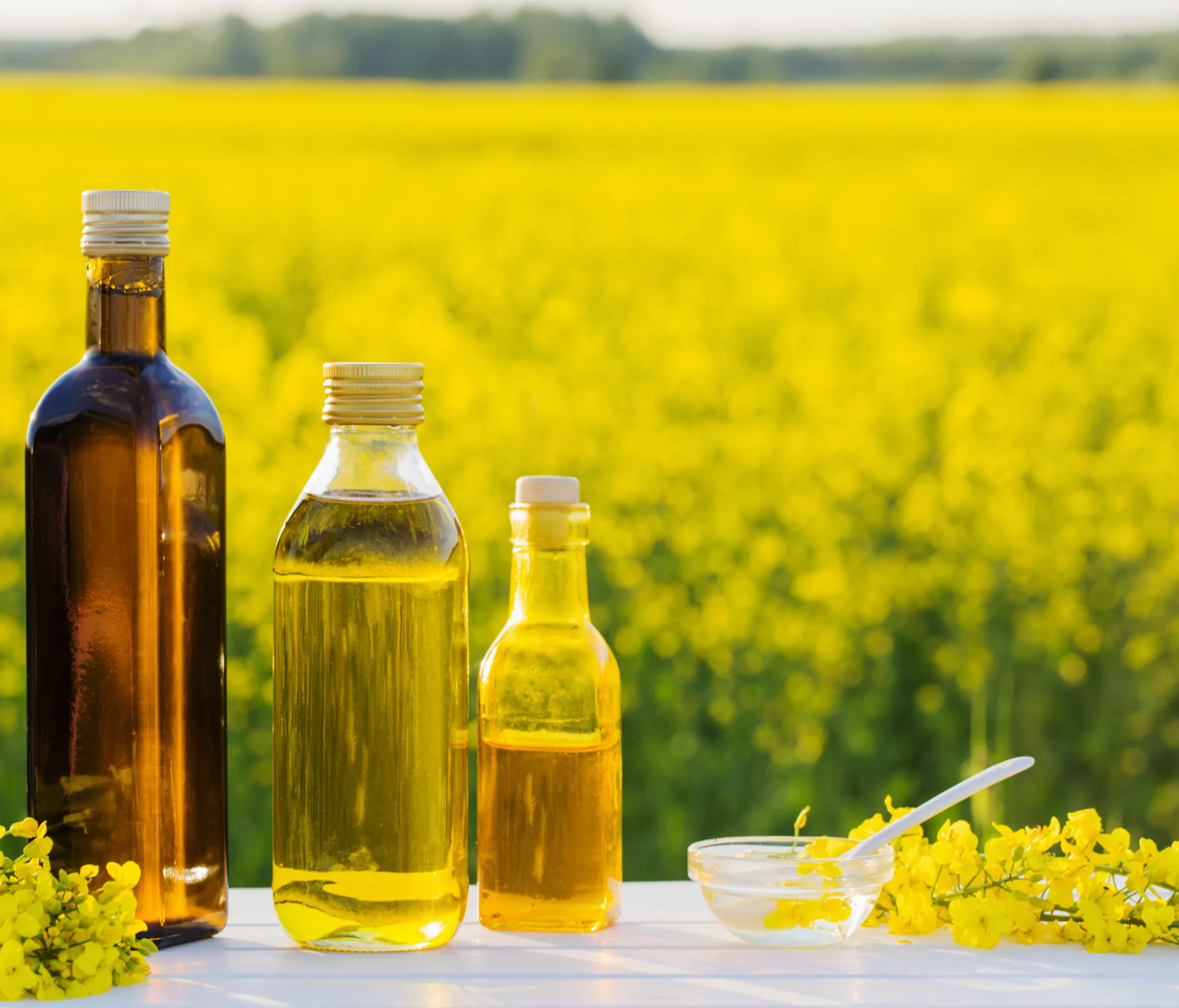 Refined Canola Oil