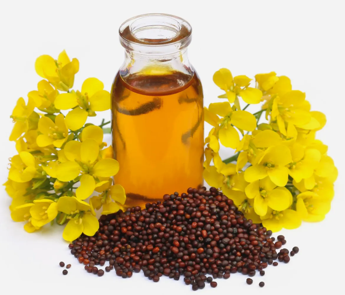 Crude Super Degummed Canola Oil